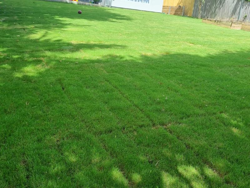 Turf laying Sydney