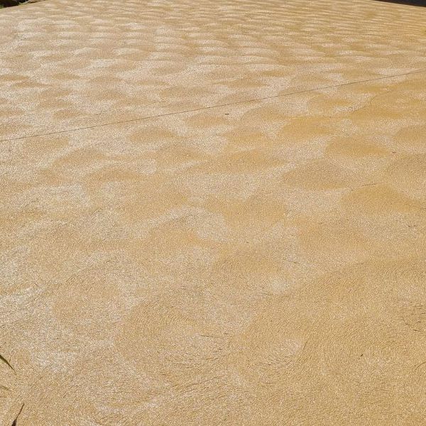 Coloured concrete with a swirled broom finish and a saw-cut joint