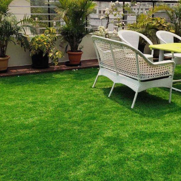 Level lawn with an outdoor setting and potted palms along a rendered wall