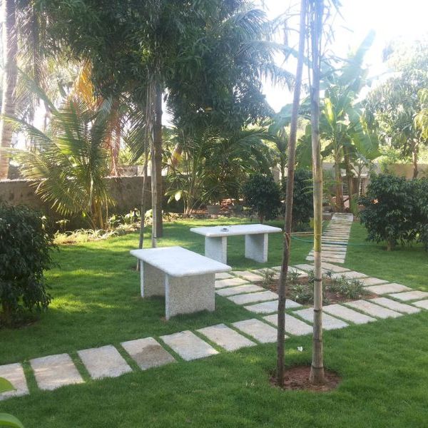 Garden lawn with a stone bench, paved stepping stones and palms