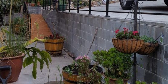 Hard Landscaping Sydney