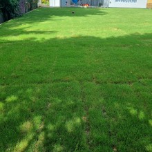 Hard Landscaping Sydney Wide